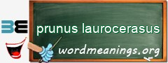 WordMeaning blackboard for prunus laurocerasus